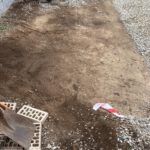 00c6e429 2ed0 4158 be2d e4ad211982d1